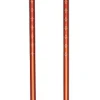 Walking Poles-Black Diamond Trail Back Trekking Poles - Burnt Sienna