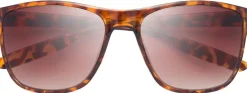 Eyewear-Bloc Eyewear BLOC Cruise 2 Sunglasses - Shiny Tortoiseshell-Brown Graduated