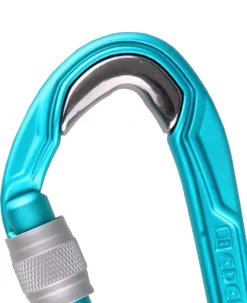 Carabiners & Quickdraws-Edelrid Bulletproof Screw Carabiner - Icemint