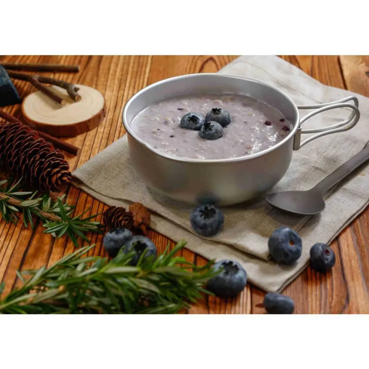 Breakfast-Expedition Foods Porridge with Blueberries - 800kcal