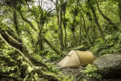 Backpacking & Lightweight Tents-Fjallraven Abisko Lite 2 Tent - Pine Green