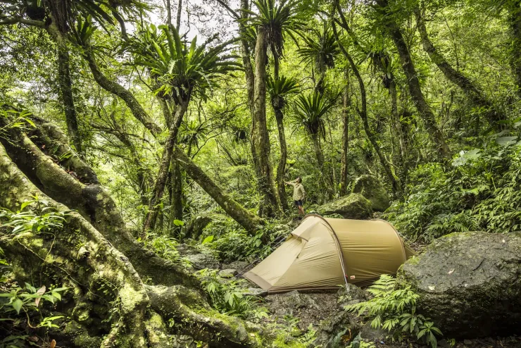 Backpacking & Lightweight Tents-Fjallraven Abisko Lite 2 Tent - Pine Green