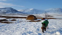 Backpacking & Lightweight Tents-Hilleberg Allak 2 Tent - Sand