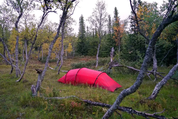 Backpacking & Lightweight Tents-Hilleberg Anjan 2 GT Tent - Green