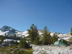 Backpacking & Lightweight Tents-Hilleberg Nallo 2 Tent - Green