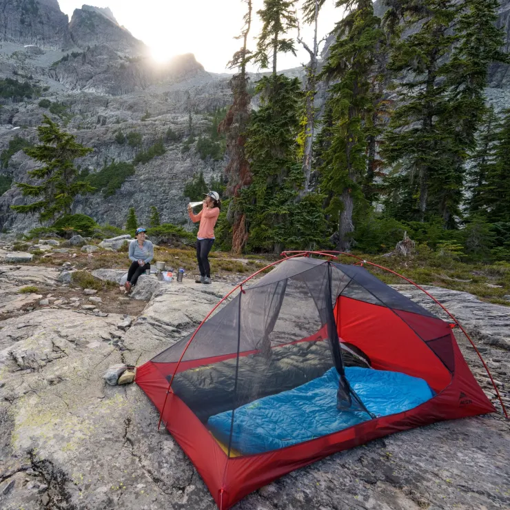 Backpacking & Lightweight Tents-MSR Freelite 2 Tent - Tan