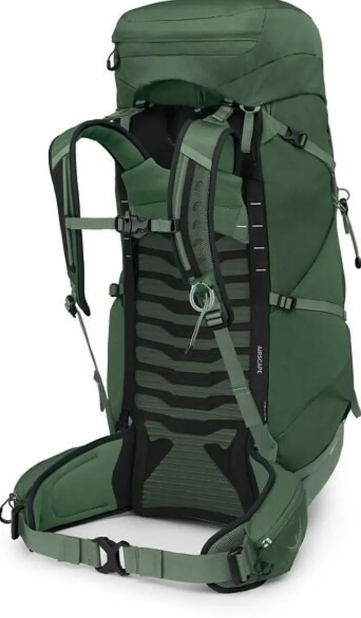 Backpacking Packs-Osprey Talon 44 Rucksack - Green Canopy-Pine Leaf