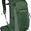 Day Packs-Osprey Talon 22 Rucksack - Green Canopy-Pine Leaf