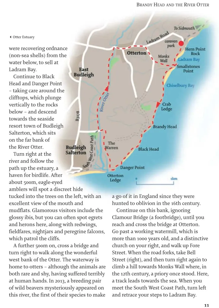 Maps And Books-Pocket Mountains Ltd Pocket Mountains Devon 40 Coast and Country Walks