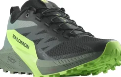 Hiking Shoes & Boots|Running Shoes-Salomon Mens Sense Ride 5 Shoes - Black-Laurel Wreath-Green Gecko
