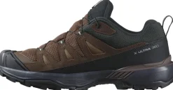Hiking Shoes & Boots|Walking Shoes-Salomon Mens X Ultra 360 LTR GTX Shoes - Dark Earth-Delicioso-Sharkskin