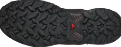 Hiking Shoes & Boots|Walking Shoes-Salomon Mens X Ultra 360 LTR GTX Shoes - Dark Earth-Delicioso-Sharkskin