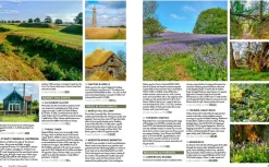 Maps And Books-Wildthings Wild Guide South West England 2