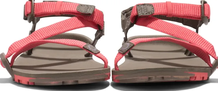 Hiking Shoes & Boots|Sandals-Xero Shoes Womens Z-Trail EV Sandals - Sunset Coral-Morel